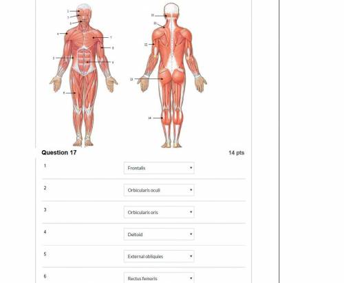 Question 9 1 pts since skeletal muscle movements are controlled by nerve impulses, in which of the f