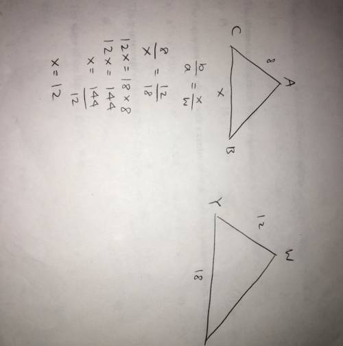 ∆abc ~ ∆wxy. what is the value of x?  (show work)