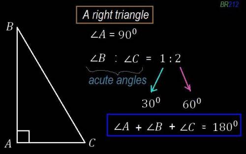 The ratio of the measure of the acute angle in a right triangle is 1/2 . find the measures of the tw
