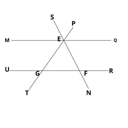 Horizontal and parallel lines m q and u r are intersected by 2 diagonal lines n s and p t to form tr
