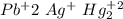 Pb^+2~Ag^+~Hg_2^+^2