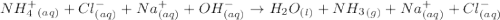 NH_4^+_{(aq)}+Cl^-_{(aq)}+Na^+_{(aq)}+OH^{-}_{(aq)}\rightarrow H_2O_{(l)}+NH_3_{(g)}+Na^+_{(aq)}+Cl^{-}_{(aq)}