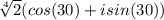 \sqrt[4]{2} (cos(30)+isin(30))