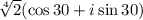\sqrt[4]{2}(\cos 30\degree +i\sin 30\degree)