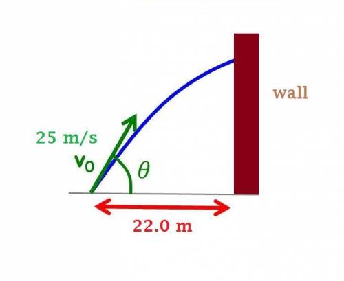 You throw a ball with a speed of 25.0 m/s at an angle of 40.0â—¦ above the horizontal directly towar