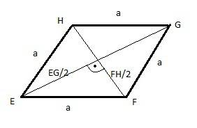 Given eg = 16 and fh = 12, what is the length of one side of the rhombus?