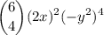 \displaystyle {6 \choose 4} (2x)^2 (-y^2)^4