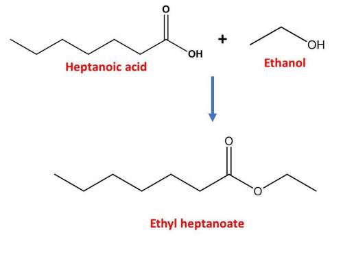 Draw the ester formed by the reaction of heptanoic acid and ethanol.