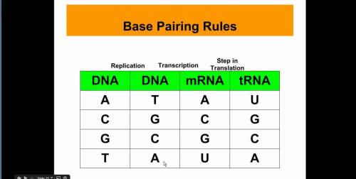 Given the sequence of dna nucleotide bases ttagccttg, give the complementary strand of mrna produced
