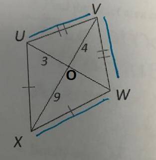 What is the exact perimeter of kite uvwx?