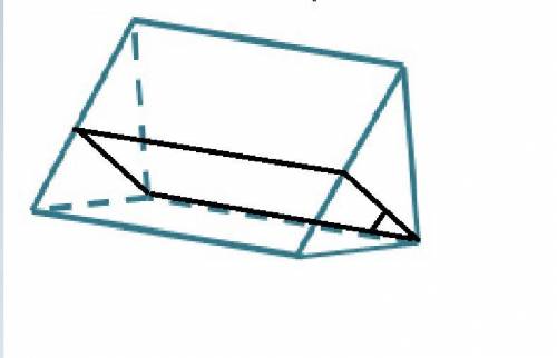 What is the shape of the cross section of the figure that is perpendicular to the triangular bases a