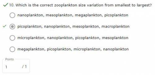 Which is the correct zooplankton size variation from smallest to largest?