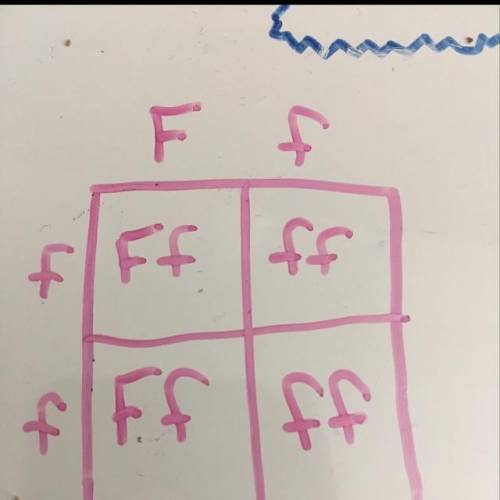 Draw a punnett square in your laboratory journal that illustrates the likelihood that a man with fh