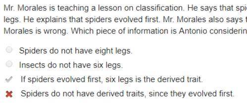 Mr. morales is teaching a lesson on classification. he says that spiders are classified as a differe