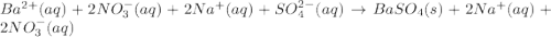Ba^{2+}(aq)+2NO_3^-(aq)+2Na^+(aq)+SO_4^{2-}(aq)\rightarrow  BaSO_4(s)+2Na^+(aq)+2NO_3^-(aq)