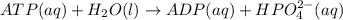 ATP (aq)+ H_2O (l) \rightarrow ADP (aq) + HPO_4^{2-}(aq)