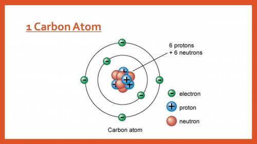 How do the bonding properties of carbon atoms allow for the large variety of carbon-based molecules