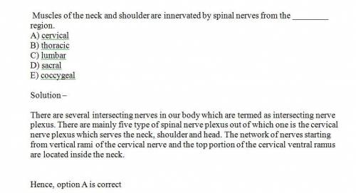Muscles of the neck and shoulder are innervated by spinal nerves from the  region.