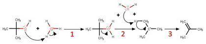 Using your knowledge of reactions and mechanisms, draw the mechanism for the formation of 2-methylpr