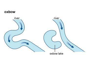 Which of the following is the medium which creates oxbows?  water wind ice gravity
