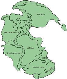 According to the theory of continental drift, what did the earth’s continents look like 255 million