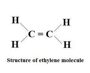 The compound ethylene (c2h4) is represented by this diagram. what statement best describes the arran