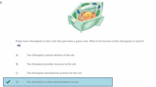 Plants have chloroplasts in their cells that give them a green color. what is the function of the ch