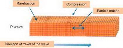 20. which statement accurately describes a p wave?  a. ap wave can travel through liquids. b.ap wave