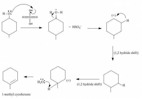 While the reaction in the lab text gives the product 4-methylcyclohexene, it is possible that severa