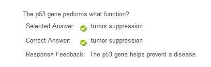 The p53 gene performs what function?  oxygen transport tumor suppression hair growth lactose digesti