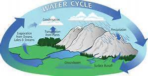 Which two processes are responsible for water's transfer of transfer of energy in the atmosphere and