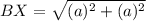 BX=\sqrt{(a)^{2}+(a)^{2}}