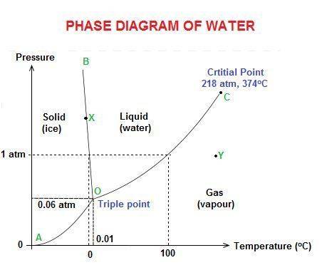 According to the phase diagram for water, how is the state of water determined?