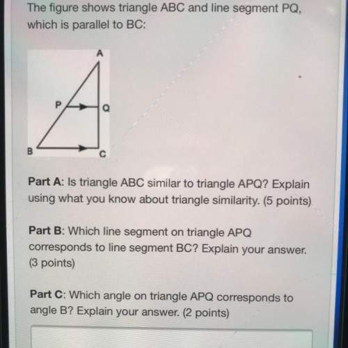 Plz explain your answer! i will mark at !