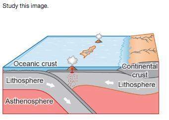 Which statement correctly explains what is happening? oceanic and continental plates are colliding.o