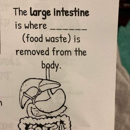 The large intestine is where (food waste) is removed from the body.