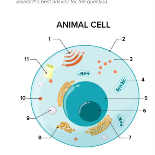 16. what part of the cell does 1 represent? a. gelatin b. golgi apparatus c. mitochondria d. cell