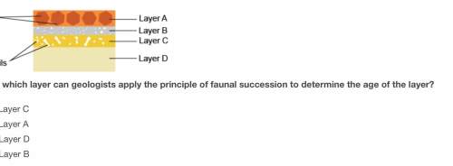 To which layer can geologists apply the principle of faunal succession to determine the age of the l