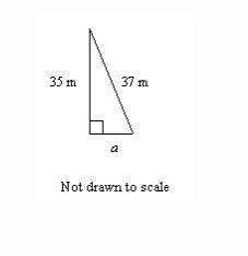 In the given right triangle, find the missing length. 12 m 39 m 28 m 14 m