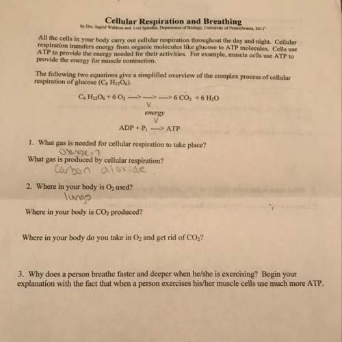 Question 2 and 3 i can’t seem to find the i need !