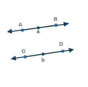 Which is the correct label of the parallel lines?