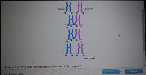 Which method of genetic recombination is illustrated in the diagram? a. crossing overb. independent