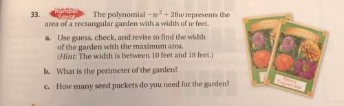 What is the solution for this question?