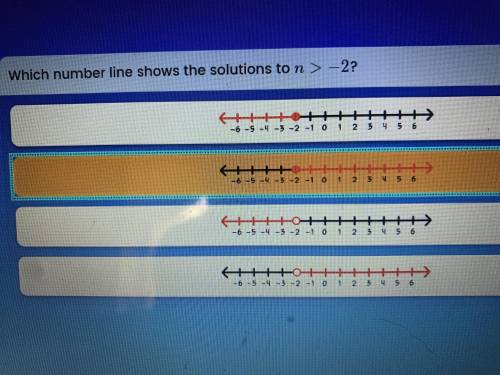 Which number line shows the solutions to n >  - 2
