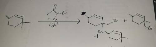 Draw the products obtained when 3,3,6-trimethylcyclohexene is treated with nbs and irradiated with u