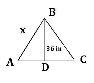 If triangle abc is an equilateral triangle and bd = 36 inches, find the value of x