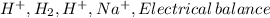H^{+}, H_{2},H^{+},Na^{+},Electrical\,balance