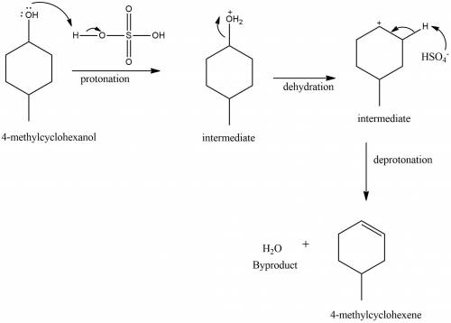 Write a reasonable and detailed mechanism for the dehydration of 4-methylcyclohexanol in the presenc