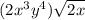 (2x^{3}y^{4})\sqrt{2x}