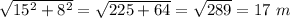 \sqrt{15^2 + 8 ^2} = \sqrt{225 + 64} = \sqrt{289} = 17 ~ m